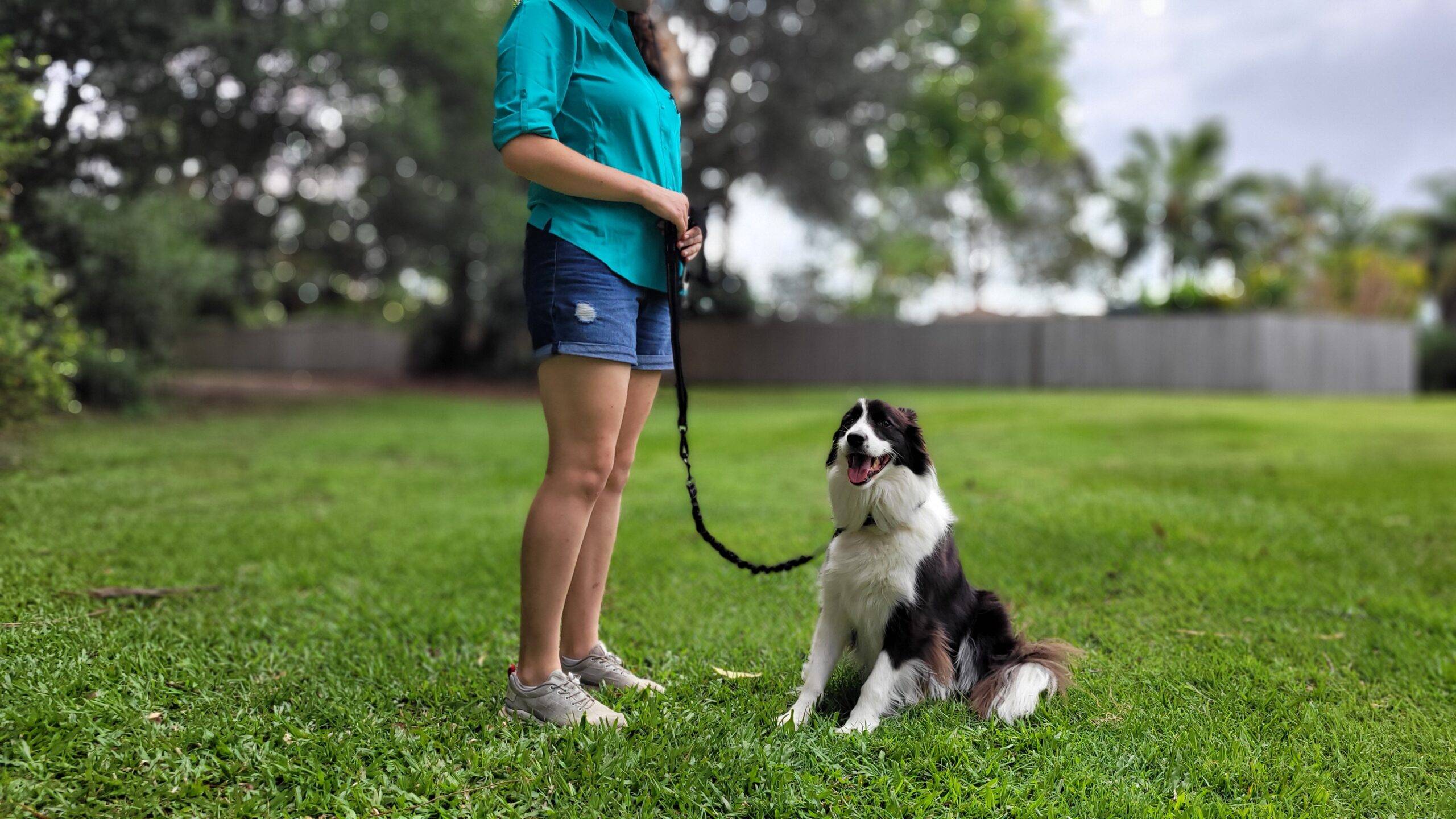 Oneleash By Charlotte Bryan